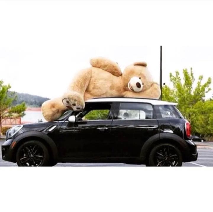 【即購入可】レア！コストコ　クマ　2m40cm