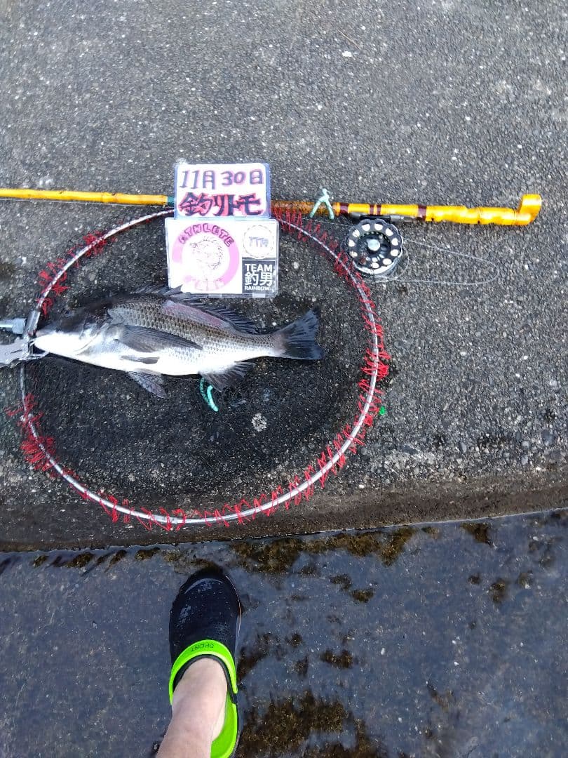 和竿　ヘチ竿（落とし込み）2.7m 未使用に近い美品です。