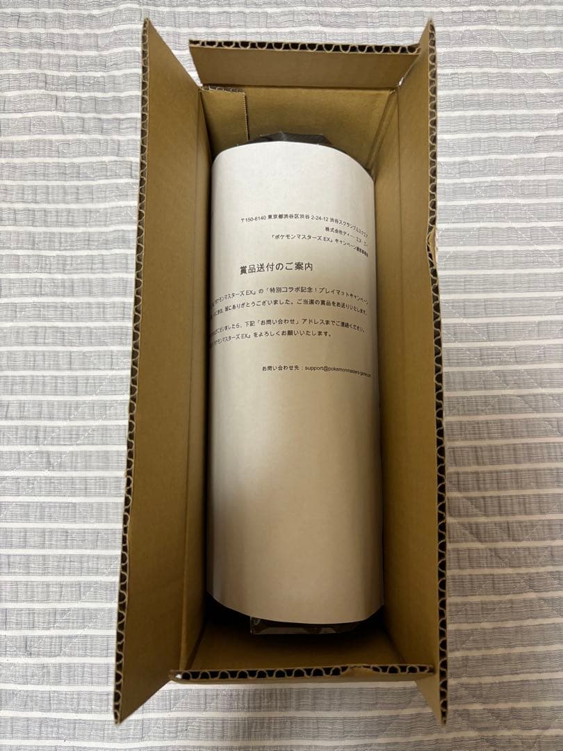 おしゃれを楽しむリーリエ　ポケマスEX プレイマット