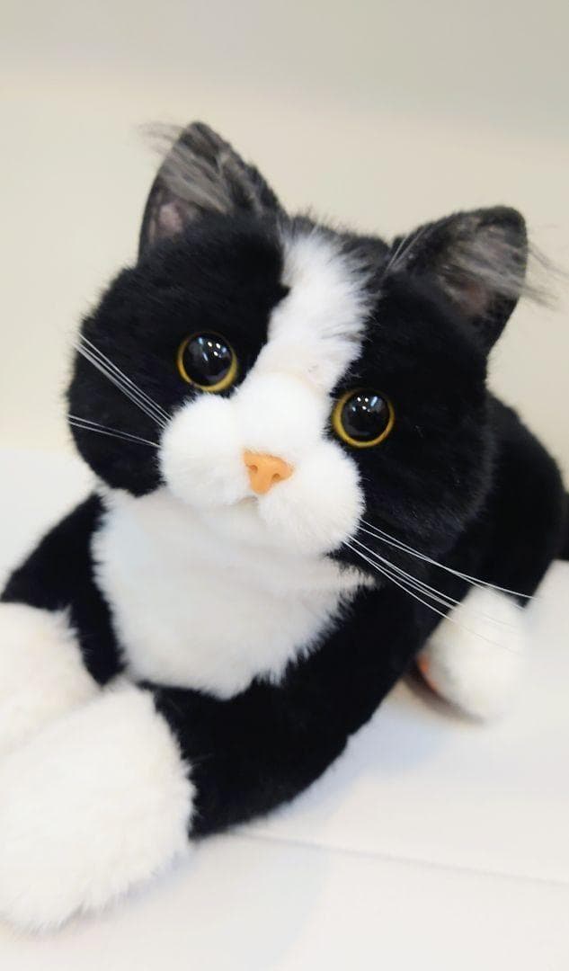 猫柄　猫雑貨　猫グッズ　なでなでねこちゃんEX ハチワレ　キャット　cat