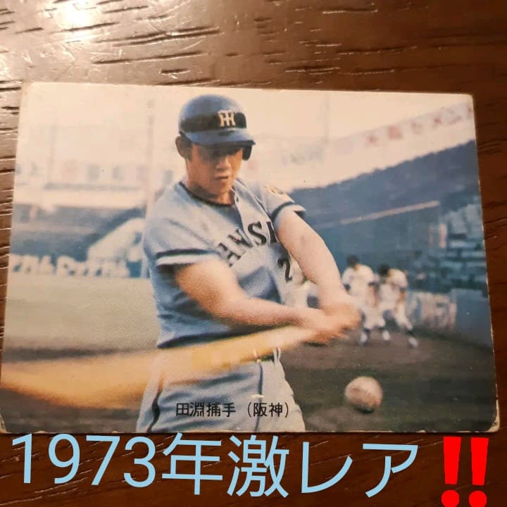 激レア‼️1973年 カルビー製菓 プロ野球物知りカード 田淵幸一