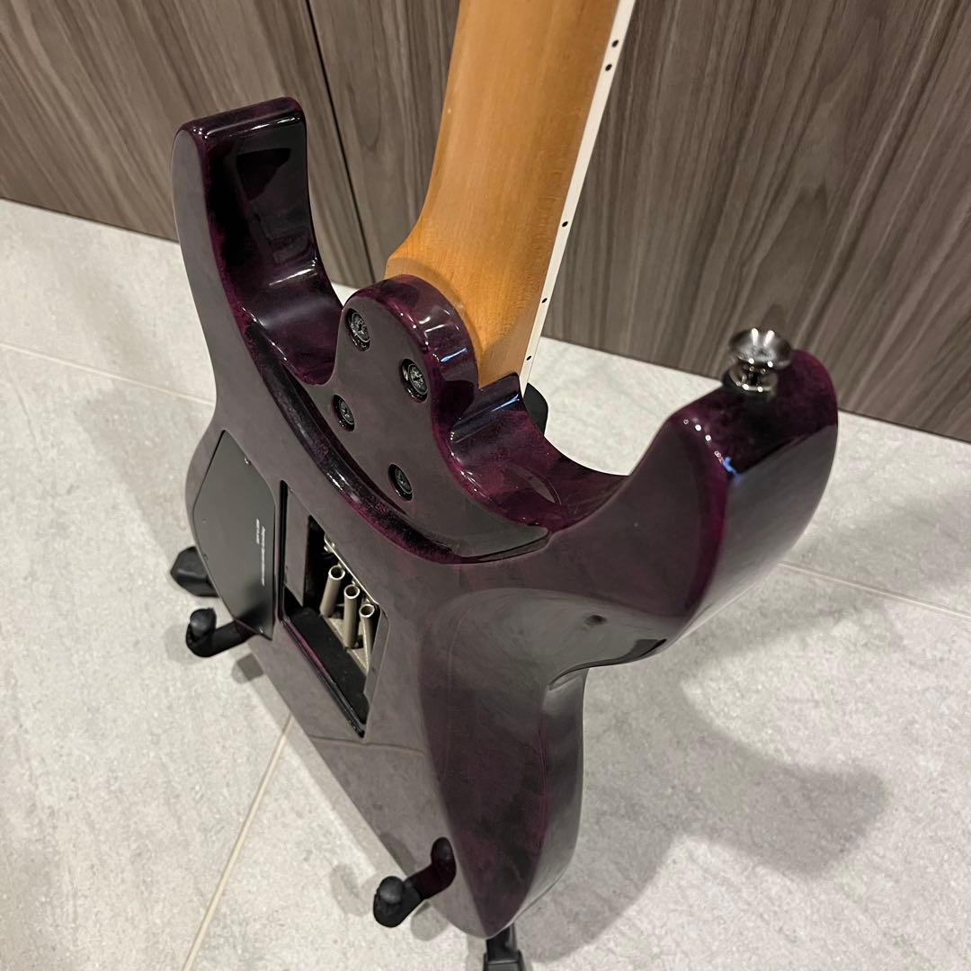 Caparison Dellinger (サスティナー仕様)