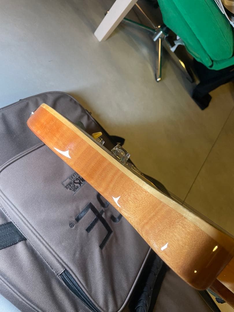 ギター PRS SE custom24 Trampas Green