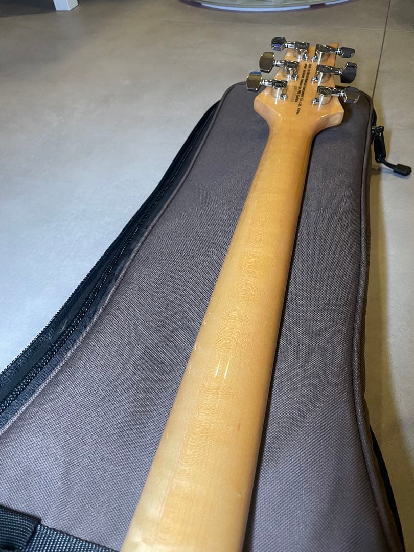 ギター PRS SE custom24 Trampas Green