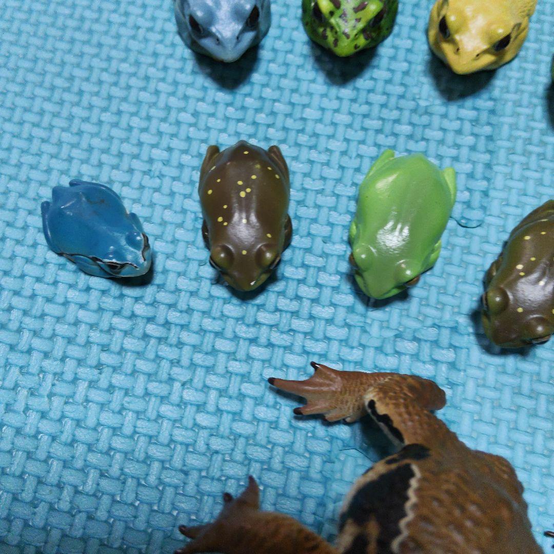 カエル　フィギュア　マグネット