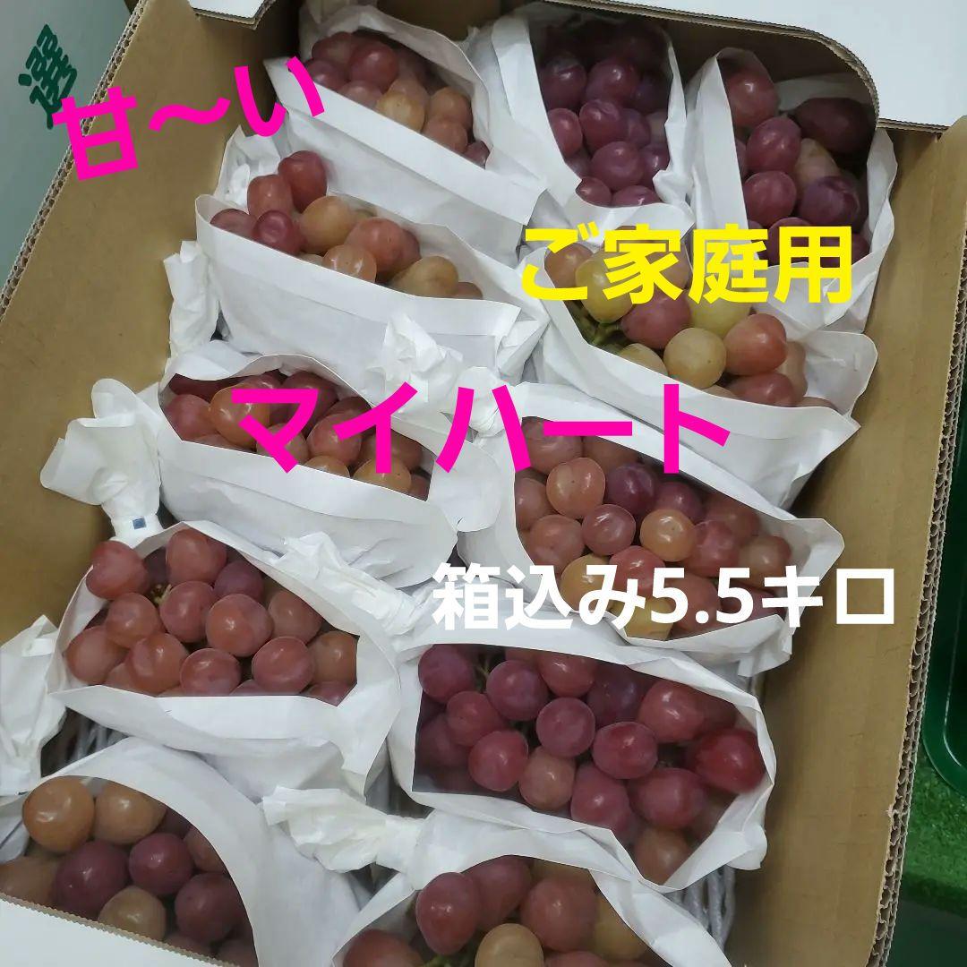 1⃣4️⃣ 山梨県産 マイハート １１房入り 箱込み5.5キロ
