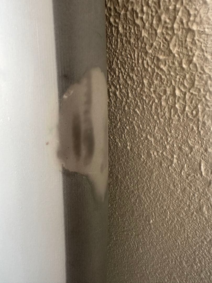 ロスト メイヘム パーティープラッター 5.9 LOST 送料込み