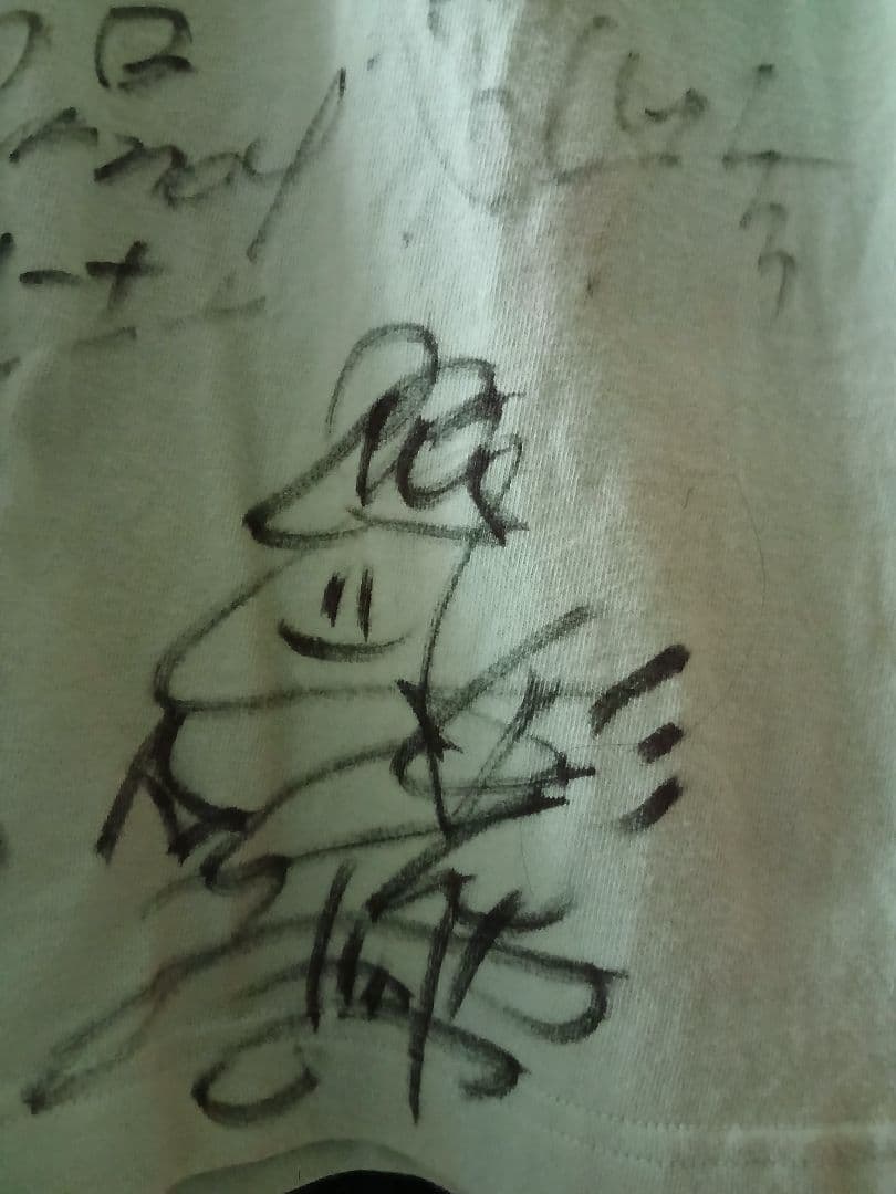 AKB48 大運動会 絆Tシャツ 直筆サイン 20周年 チームA K B