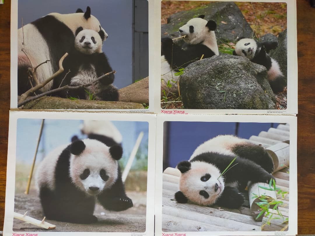 上野動物園 シャンシャン 公式グッズ おまとめ ☆最終セール☆