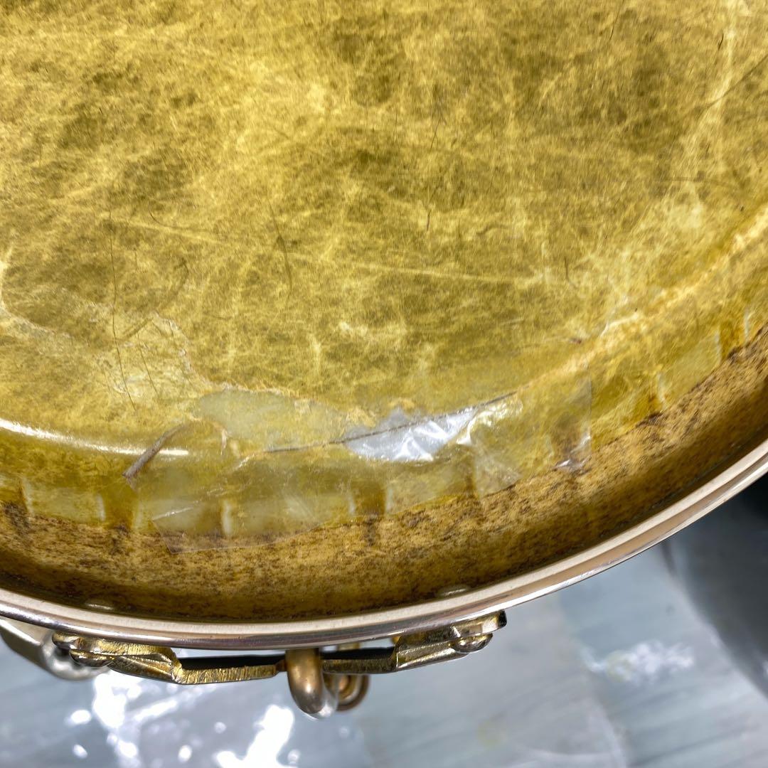 値下げToca Limited Editionコンガ／キント　マイネルスタンド