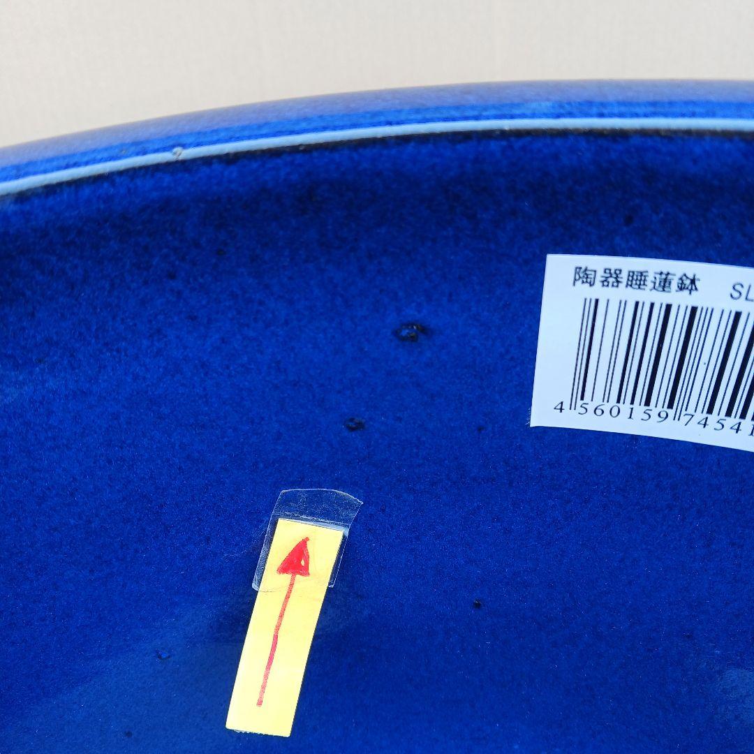 新品　∅50特大　陶器　睡蓮鉢　手造り　メダカ鉢　難有　ラピスブルー　青　LDB