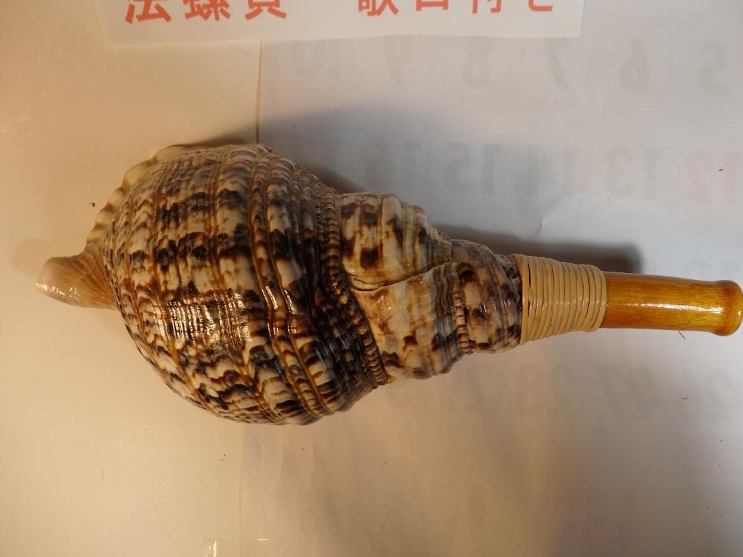 法螺貝 約38㎝ 木製歌口,新品 MH-477
