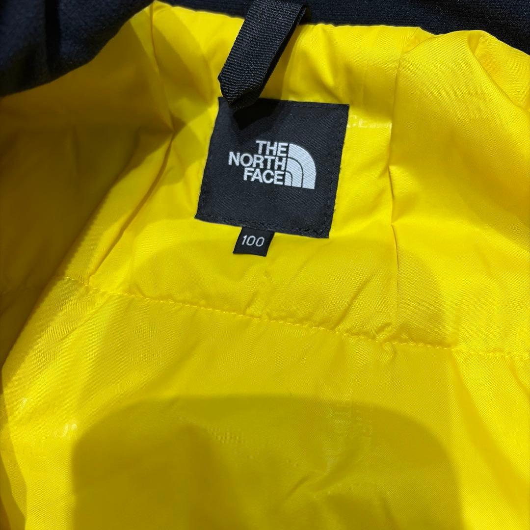 【美品】　THE NORTH FACE 100