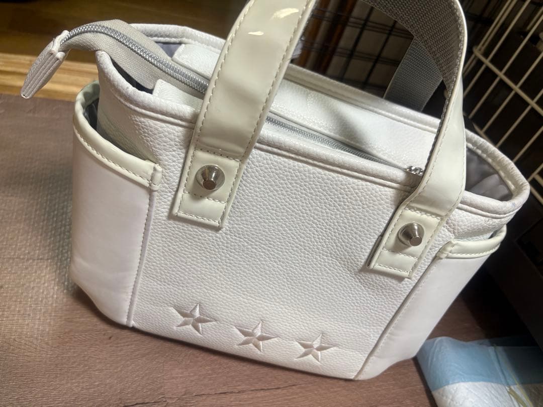 dance with Dragon キャディバッグ