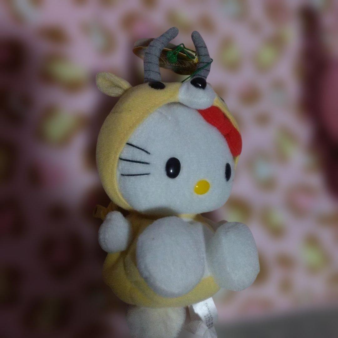 超激レア‼️レトロ‼️キティ 着ぐるみ‼️9 体セット‼️脱げる‼️可愛い‼️