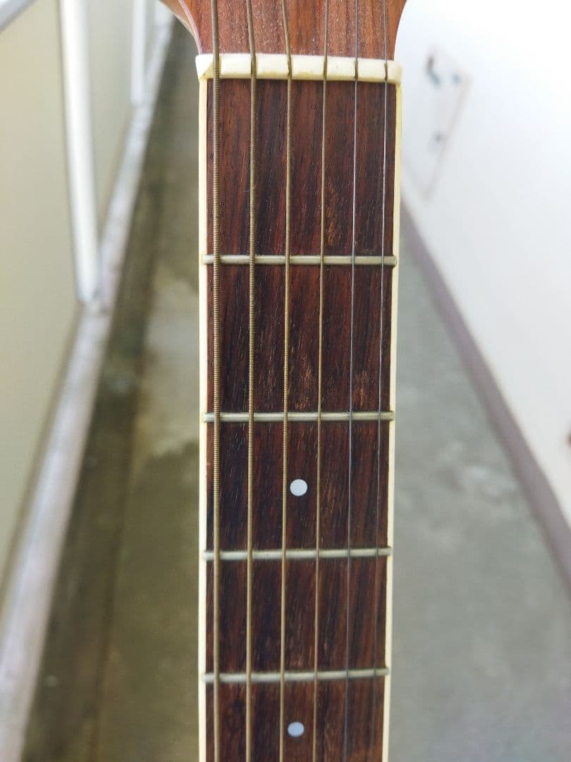 モーリス morris tornado トルネード　TX エレアコ　日本製