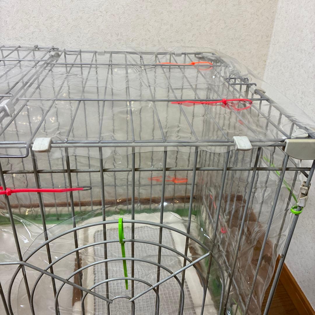 Nevoton酸素発生器　ペット用　MAFmini 1.0L