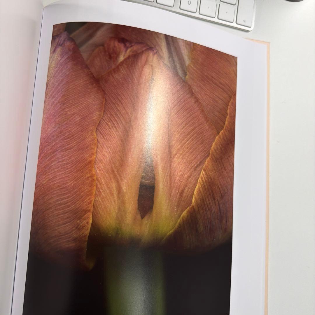 ヘルマン・フォスターリング『Flora Magica』(2006)