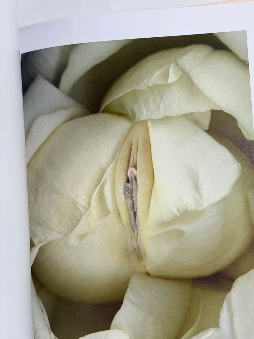 ヘルマン・フォスターリング『Flora Magica』(2006)