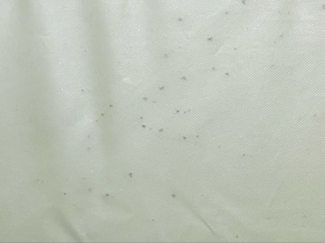 ソフトクレートn2 大型犬用 XL