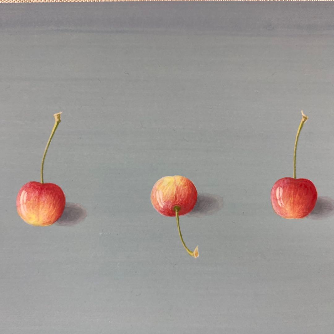 美品 掛け軸 城康夫作「初夏」さくらんぼ図 共箱 太巻き付 美術年鑑掲載