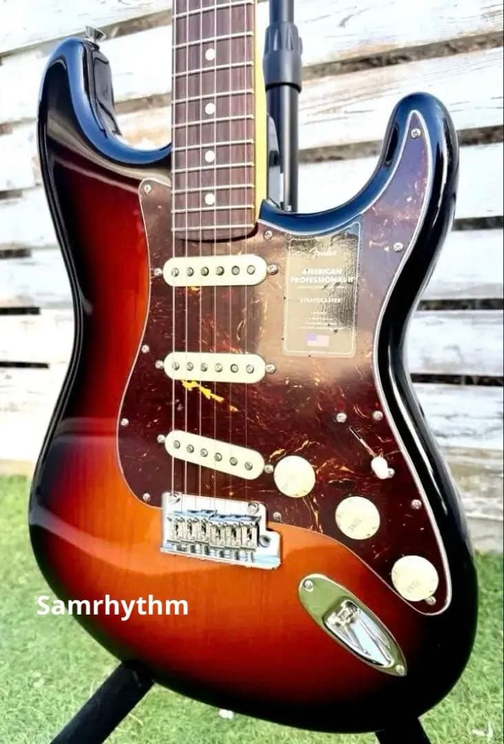 ギター Fender American Professional II St.