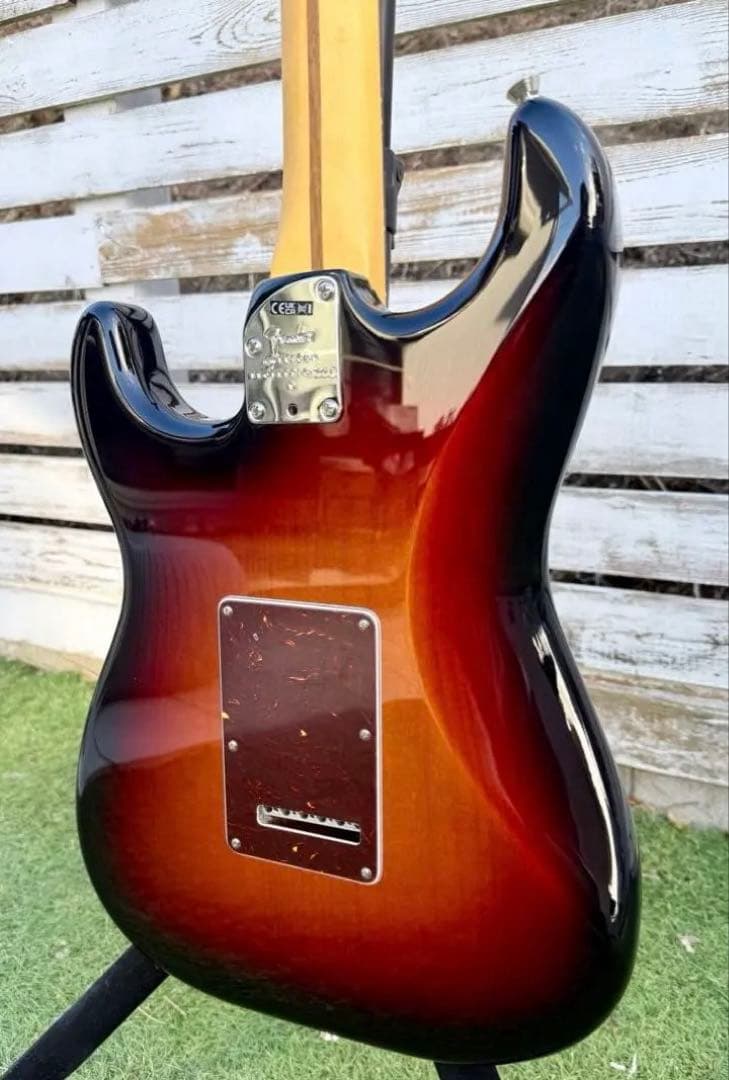 ギター Fender American Professional II St.