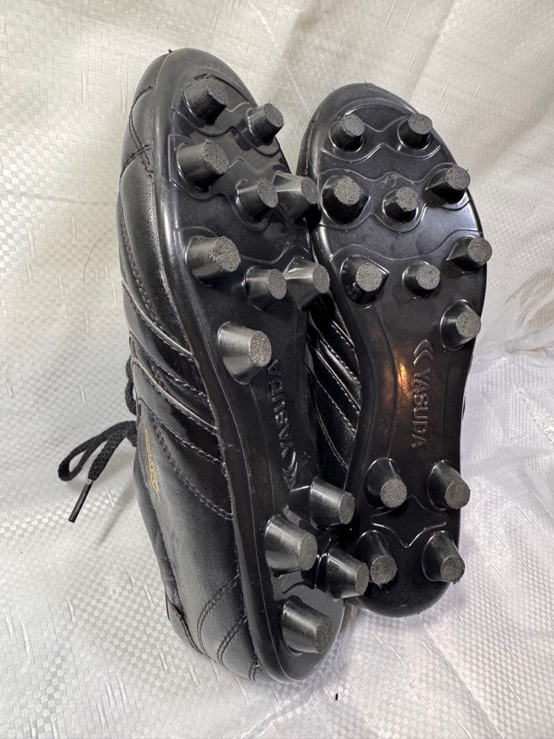 YASUDA リガレスタ PRO