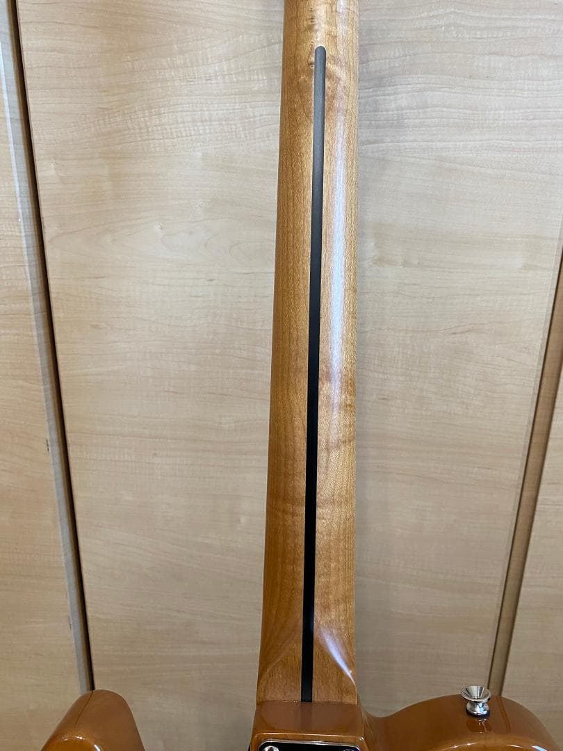 Harley Benton ハーレーベントン テレキャスター シンラインタイプ