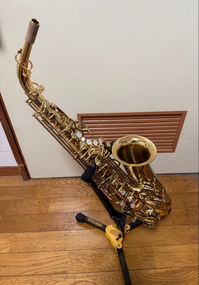 アルトサックスA2000GPシルフィード（シャイニーケース付き）