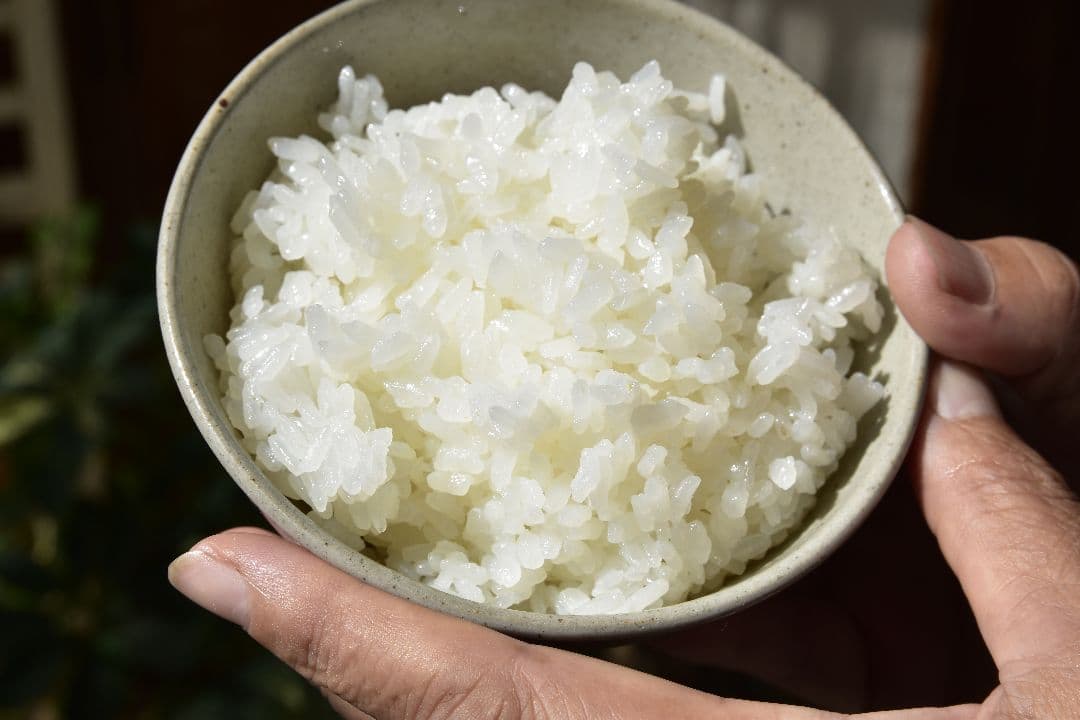 農薬不使用コシヒカリ１０キロ