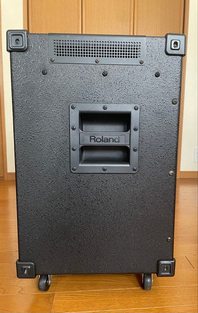 Roland d-bass 115 ベースアンプ