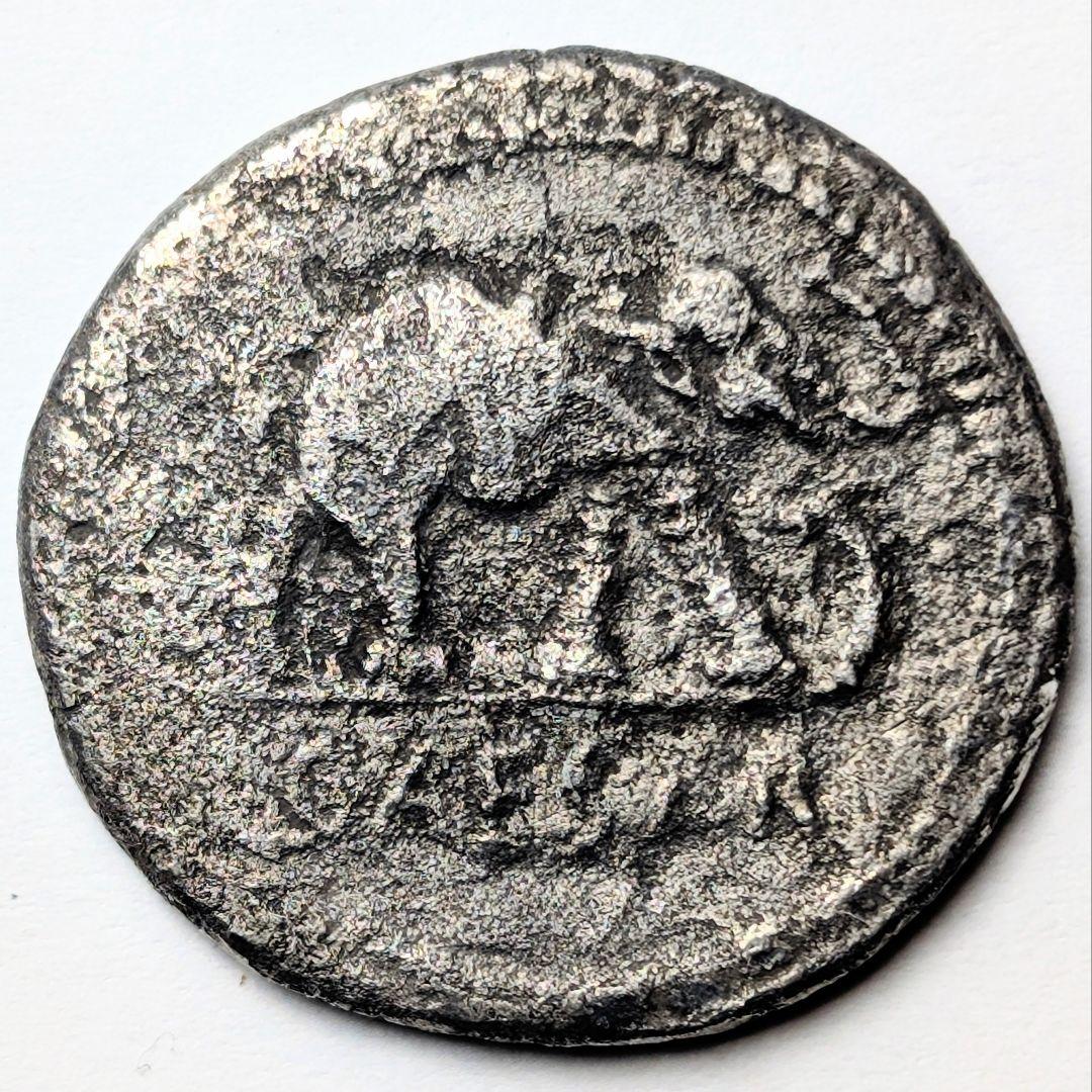 TKC017 ユリウス・カエサルの象