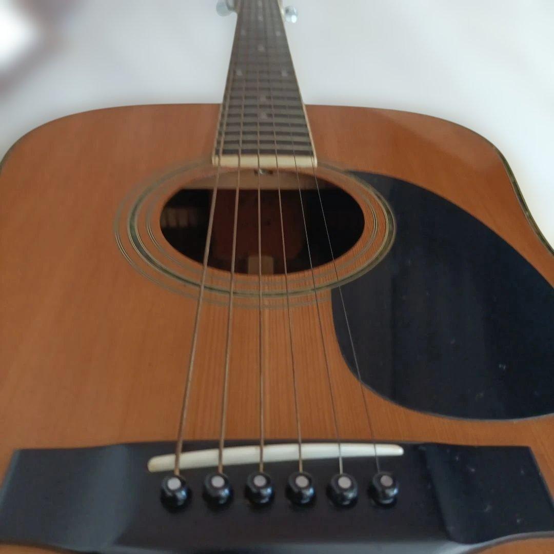 MORRIS アコースティックギター W-35