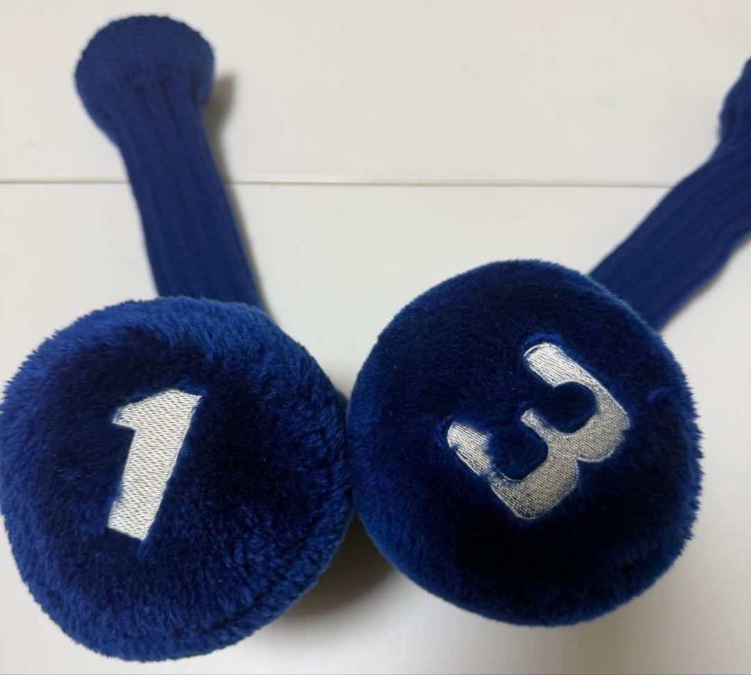 【希少名器】MIZUNO NotusチタンF/アイアン10本(3- SW)右FR