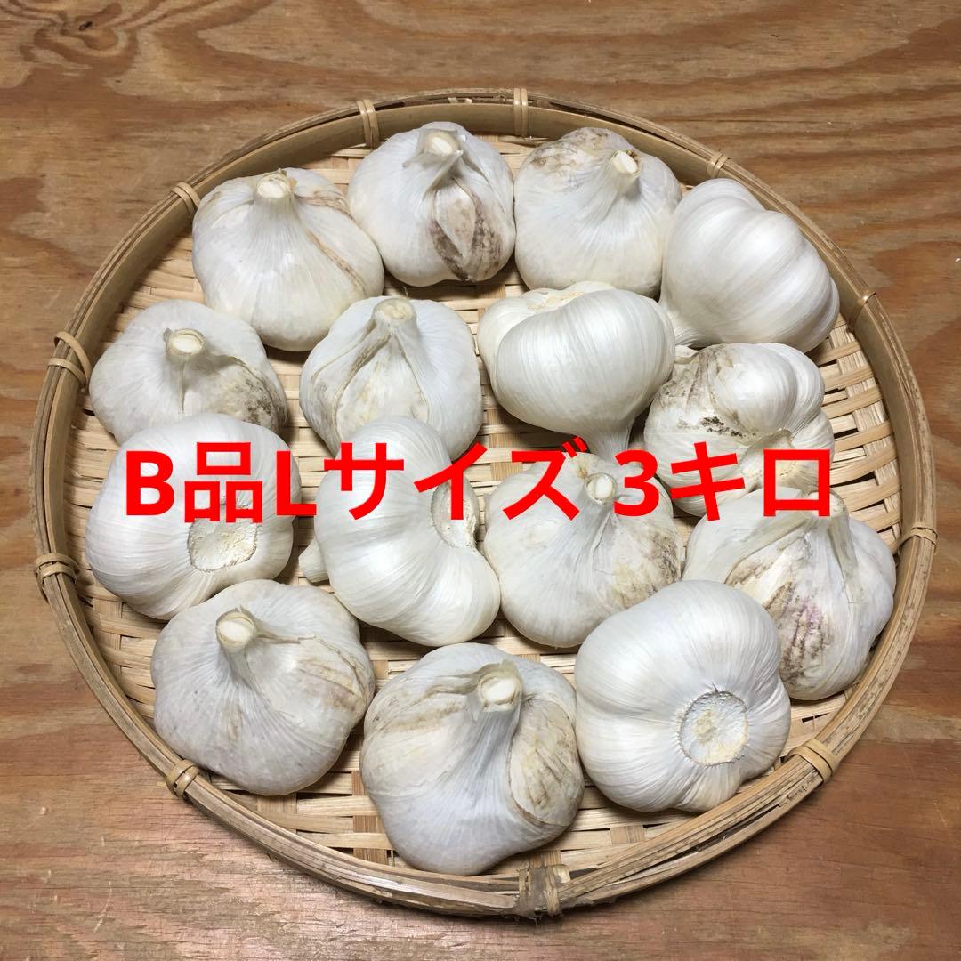青森県産 にんにく サメ子ママ