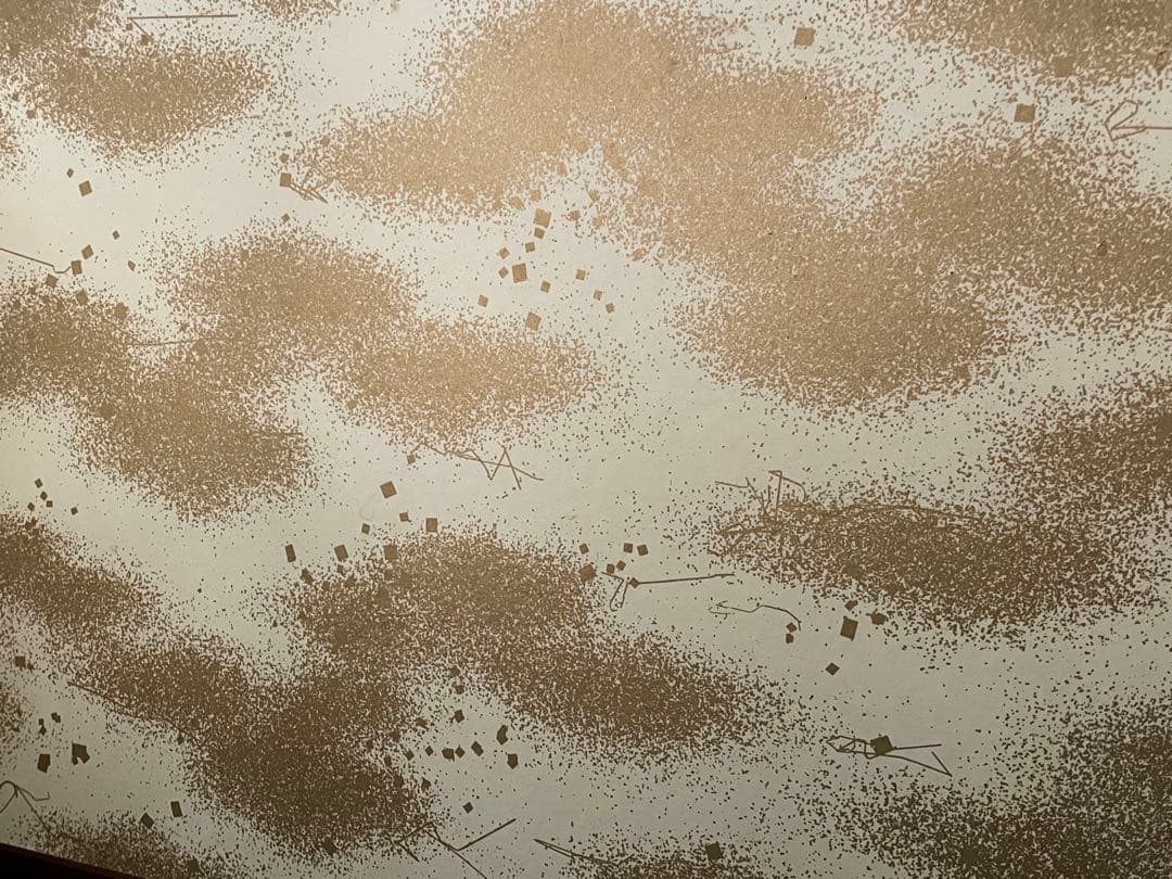 「母」 金彩霞 鳥の子 両面使い 風炉先屏風 紙箱 茶道具 （115①）