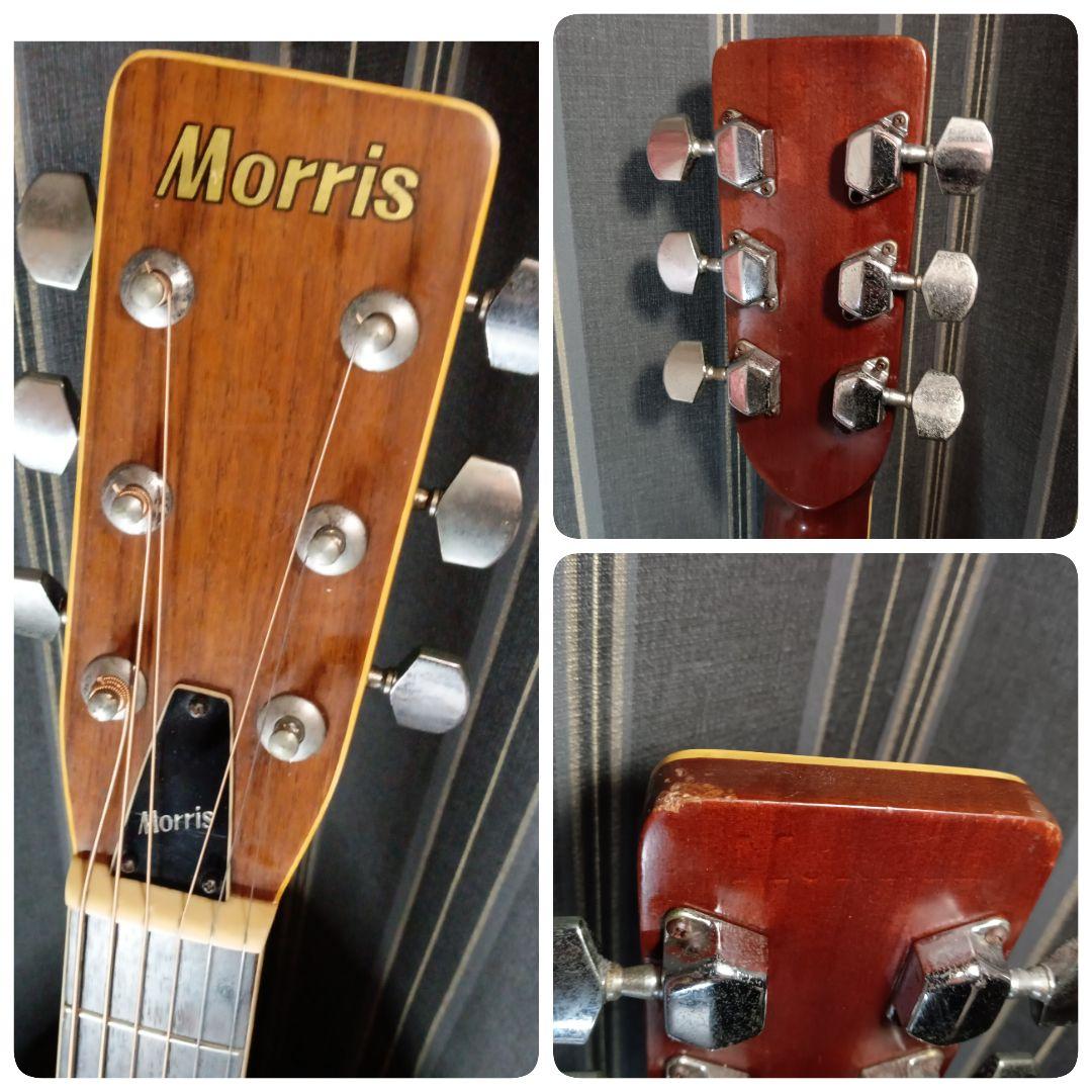 常田大希使用モデル morrisアコギ F-20 ギター KingGnu
