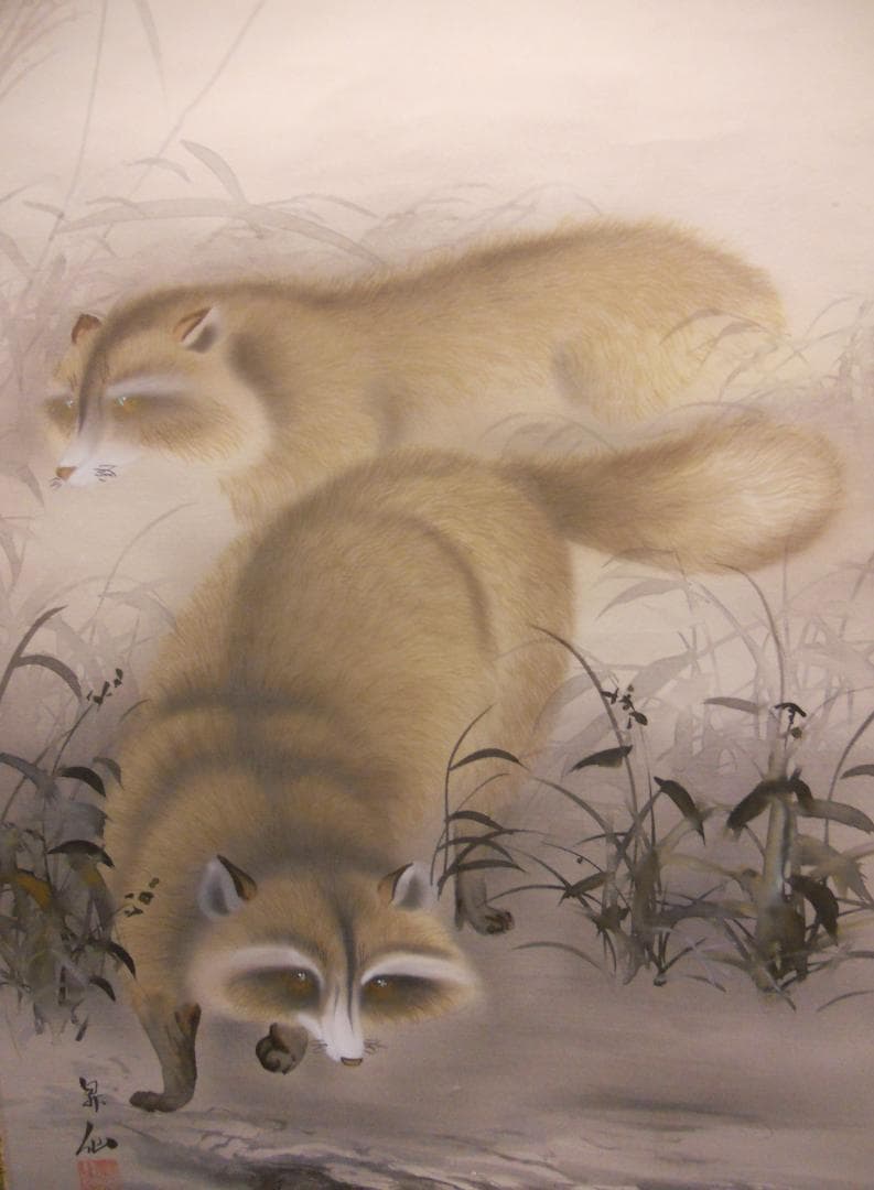 掛け軸 山田昇仙 『 狸之図 』 中島清堂 識箱 絹本 希少 茶道具 掛軸 美品