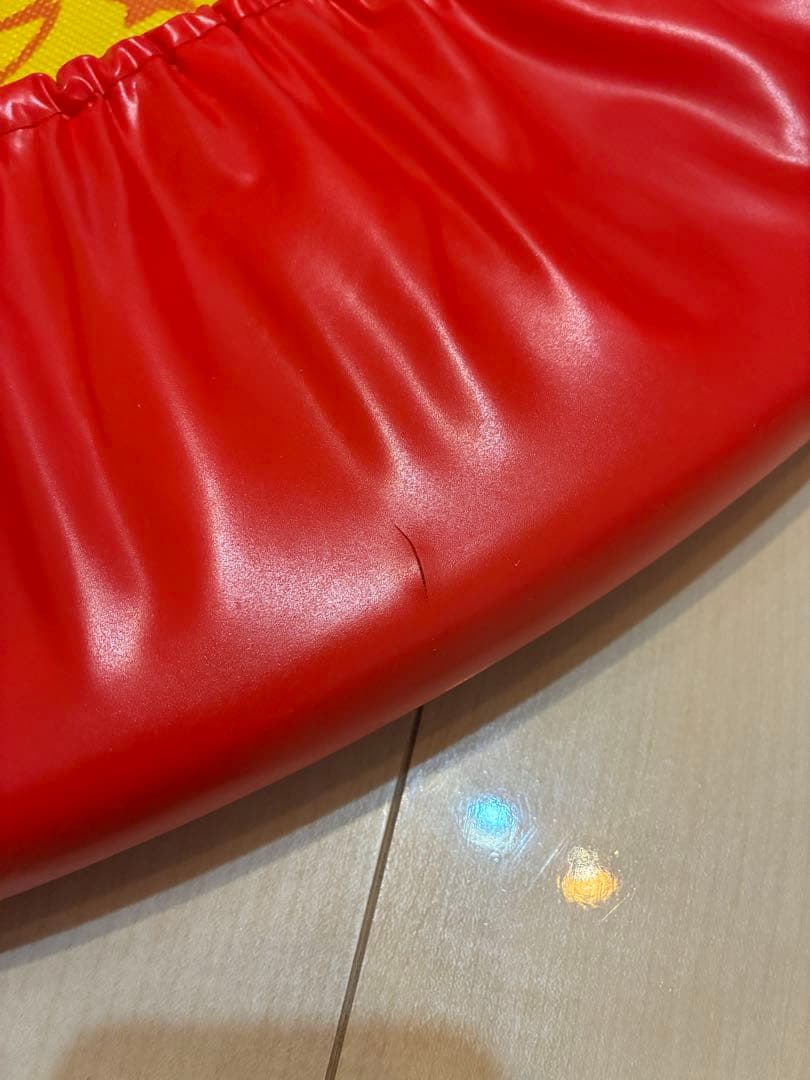 【送料無料】トランポリン DVD付き/ Zippy Jump and Sing