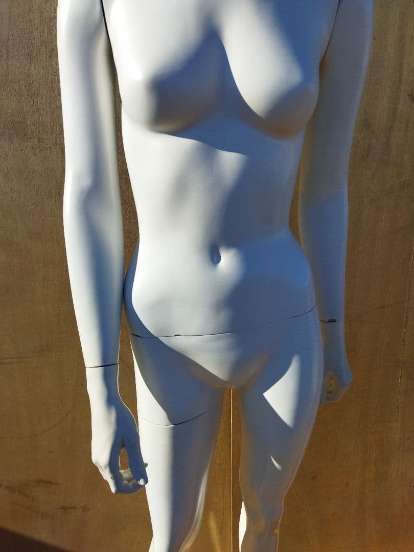 女性用マネキン トルソー 約45×45×H160cm　人形　等身大