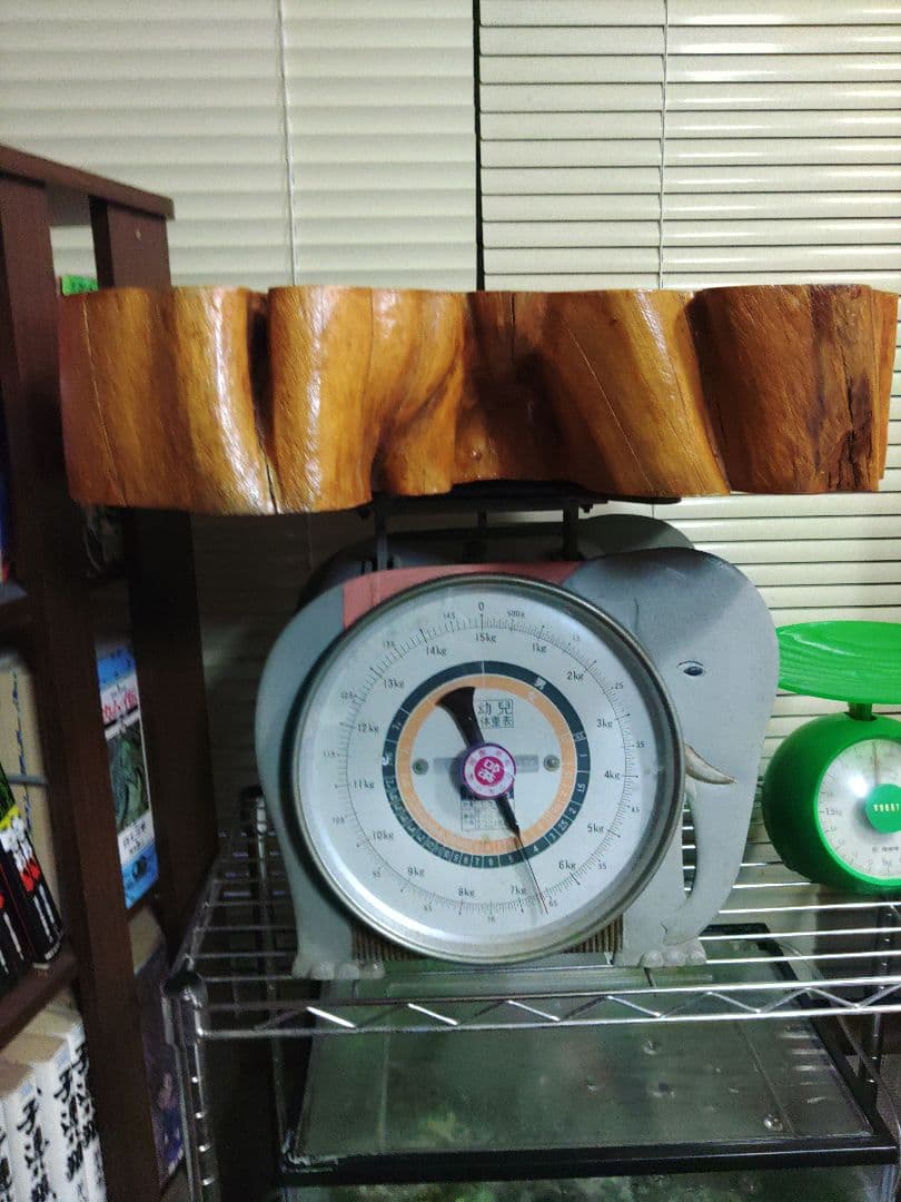 無垢木材　花台　大迫力切り株　かわいい木製オブジェ　木の温もり　年輪　精霊宿る