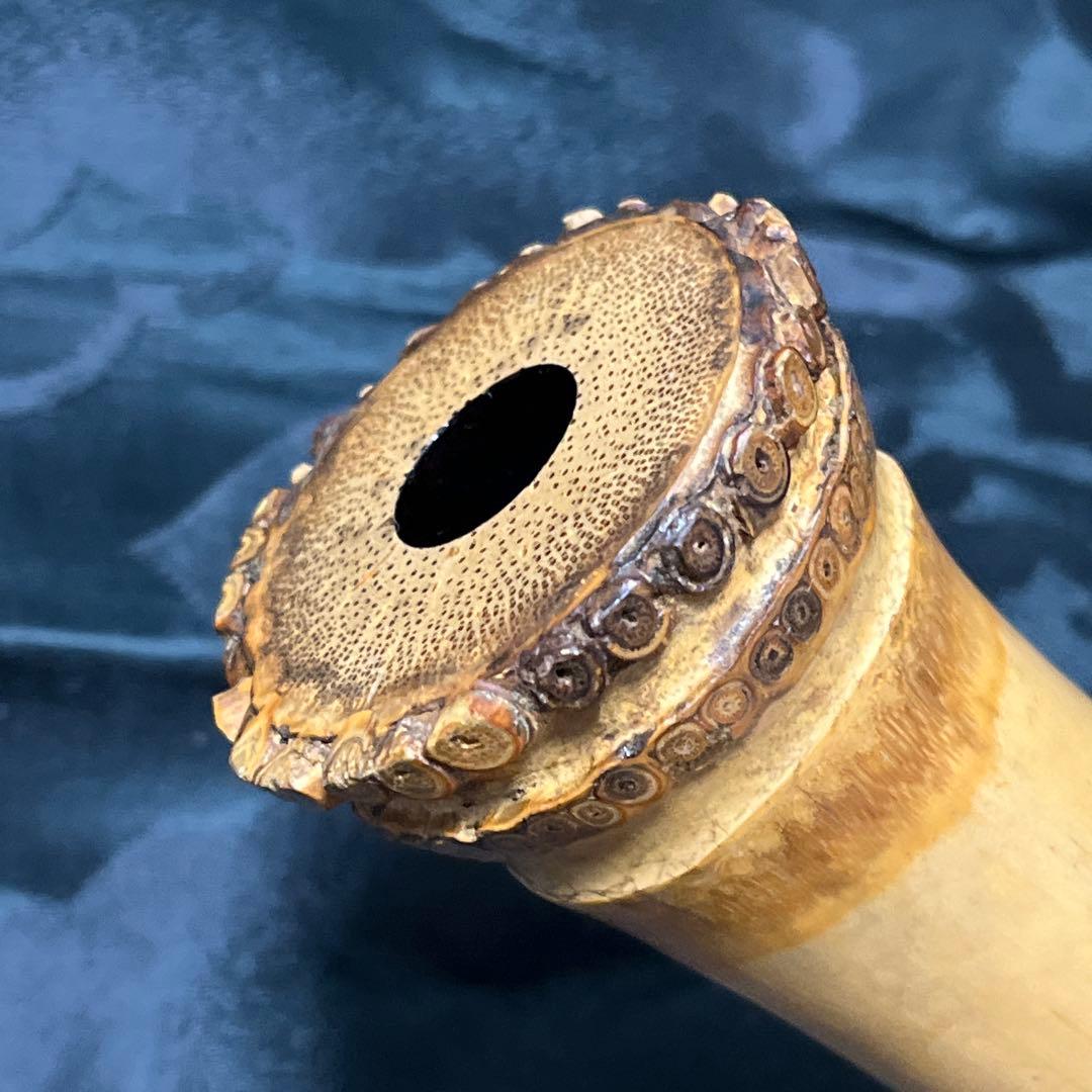 尺八 琴古流 在銘 一尺九寸管 中継ぎ籐巻き銀三線 【音出し確認済み】