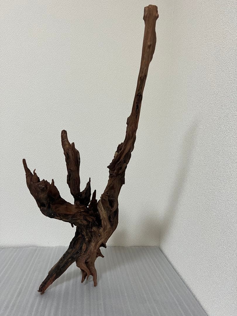 HX-080 流木　ホーンウッド　マシンガンウッド　アクアリウム　ブランチウッド