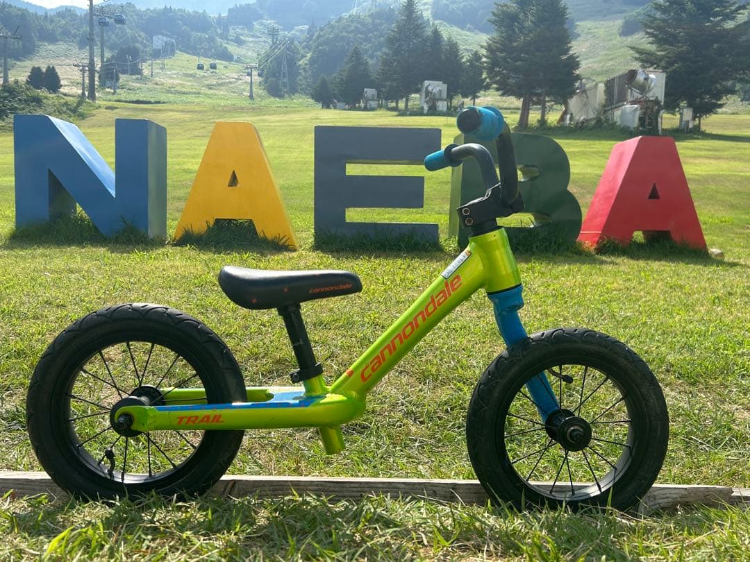 CANNONDALEキャノンデール 片持ちレフティ 限定車 ストライダー キッズ