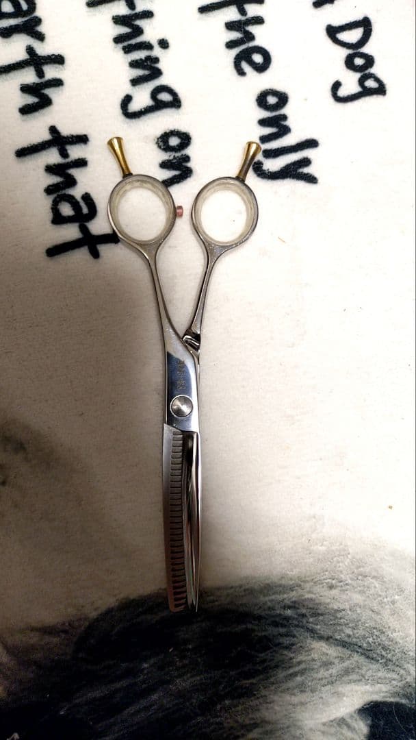 egg★トリミングシザー　セニングシザー　顔カットなどにも