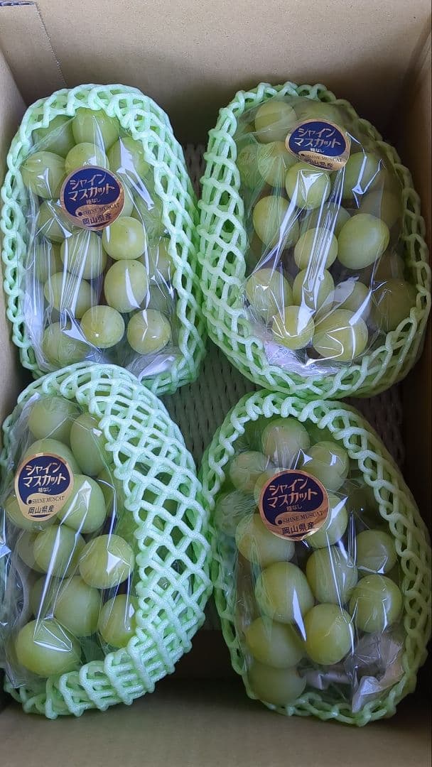 ⑦岡山県産シャインマスカット4kg
