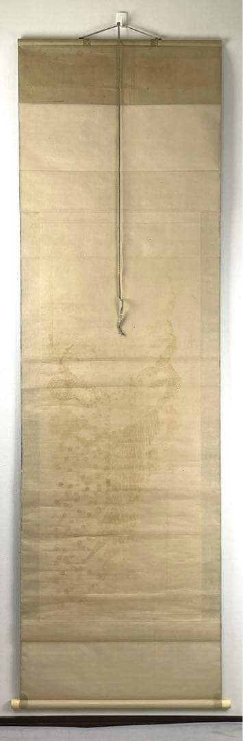 日本画 　熊斐銘　孔雀図 掛軸　肉筆　絹本　時代箱付　古美術 4C06-11