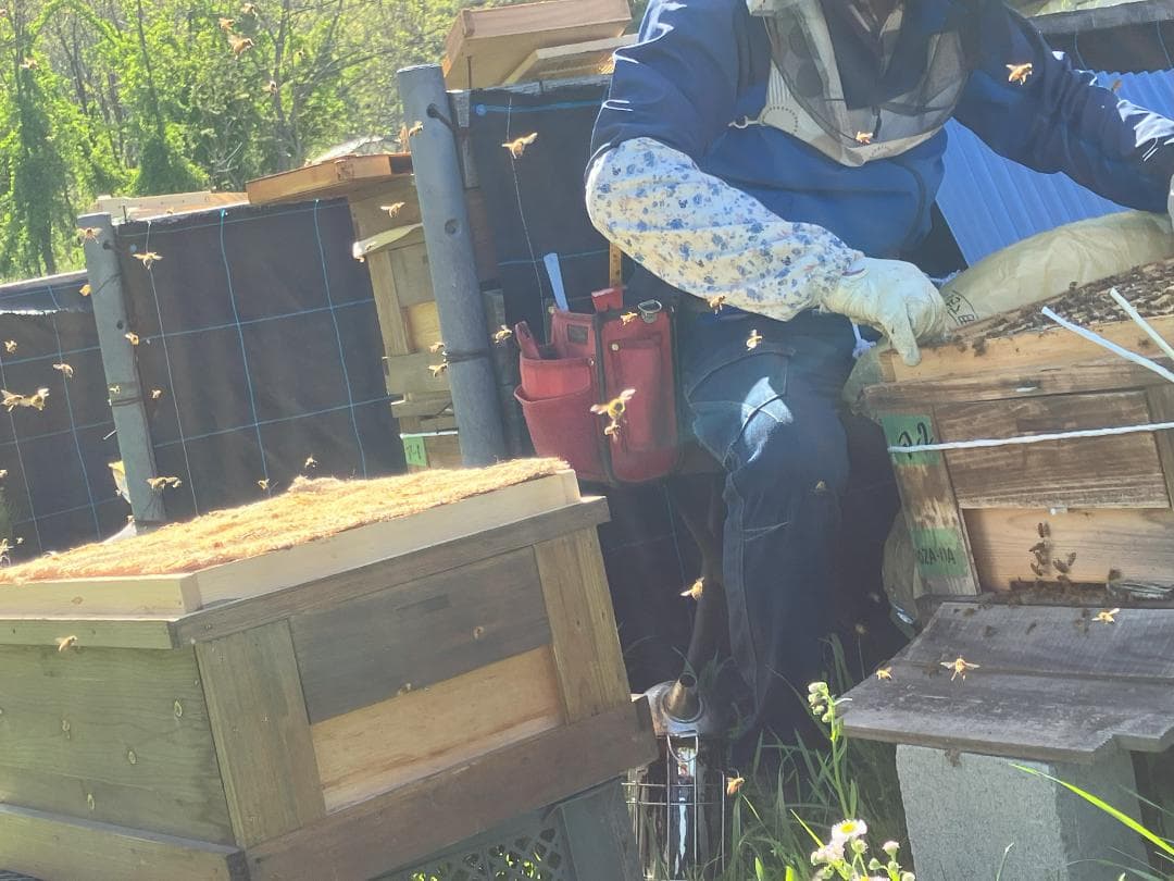 【新蜜】百花蜜 1000g 2本 長野県産 国産蜂蜜 生はちみつ 西洋蜜蜂