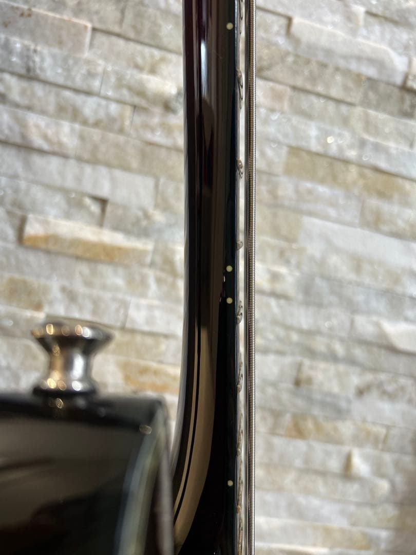 【お値下げ不可】Schecter AD-C-4-HR EMG スルーネック